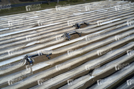 Spargelernte in Fuhrberg