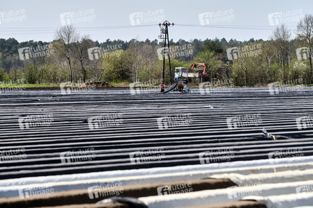 Spargelernte in Fuhrberg