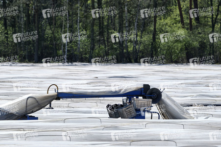 Spargelernte in Fuhrberg