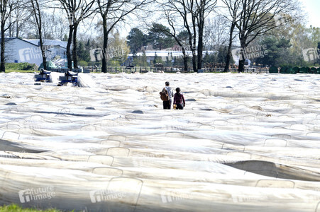 Spargelernte in Fuhrberg