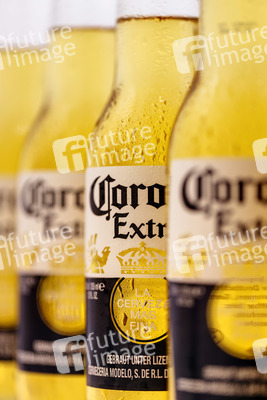 Symbolfoto Corona Bierflaschen