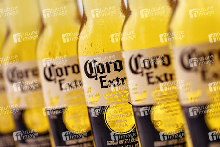 Symbolfoto Corona Bierflaschen