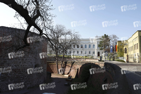 Symbolfoto Leopoldina