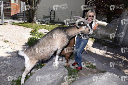 Fototermin mit Isabella Hübner im Tierheim München