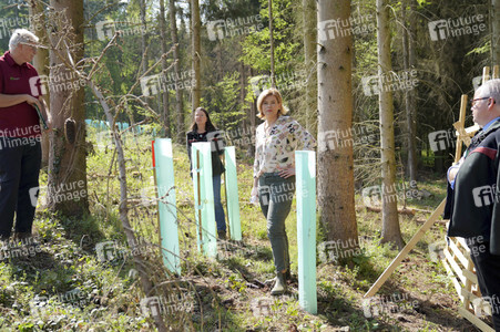 Julia Klöckner besichtigt Wald-Wiederaufforstungsfläche in Rehberg