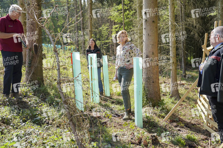 Julia Klöckner besichtigt Wald-Wiederaufforstungsfläche in Rehberg
