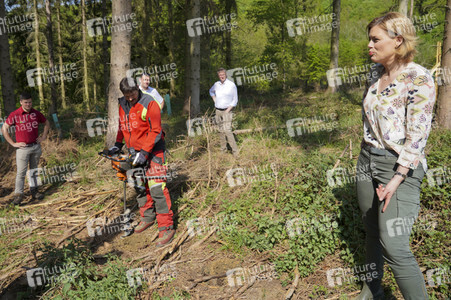 Julia Klöckner besichtigt Wald-Wiederaufforstungsfläche in Rehberg