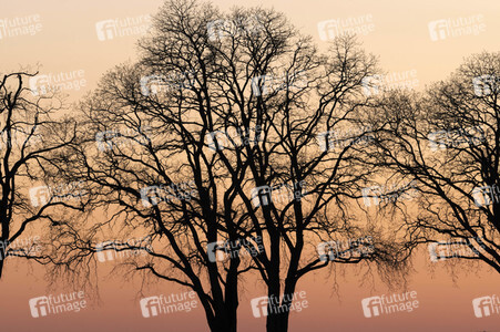 Symbolfoto Abendstimmung