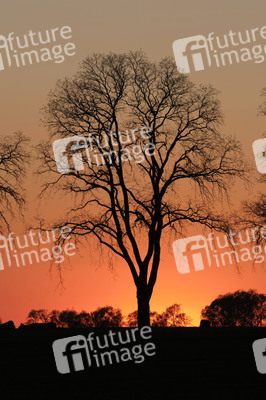 Symbolfoto Abendstimmung