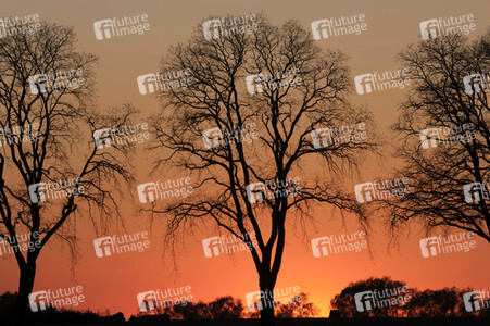 Symbolfoto Abendstimmung