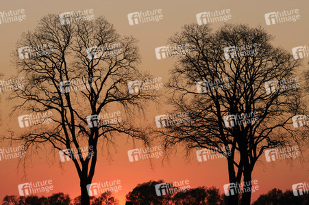 Symbolfoto Abendstimmung