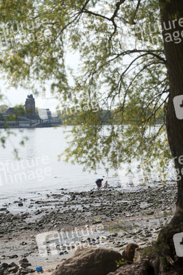 Niedrigwasser der Elbe in Hamburg