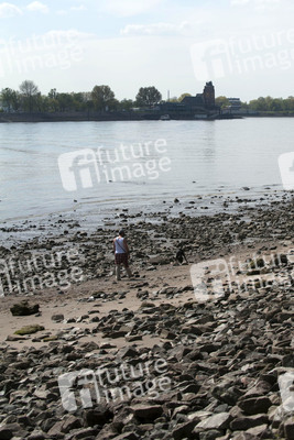 Niedrigwasser der Elbe in Hamburg