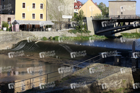 Niedrigwasser der Neisse bei Görlitz