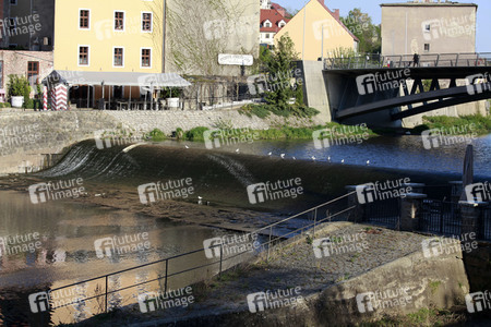 Niedrigwasser der Neisse bei Görlitz