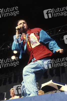 Reading Rock Festival 1983