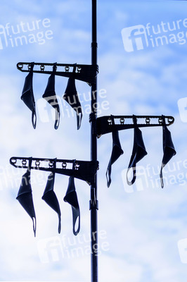 Symbolfoto Mundschutzdesinfektion