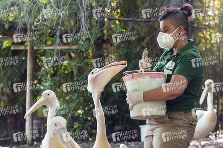 Madrid während der Coronakrise