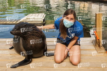 Madrid während der Coronakrise