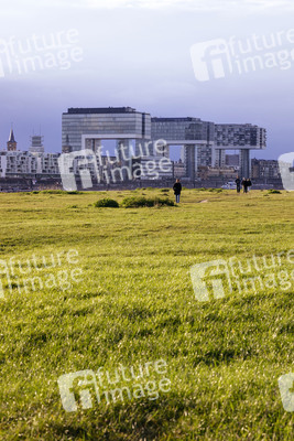 Symbolfoto Poller Wiesen