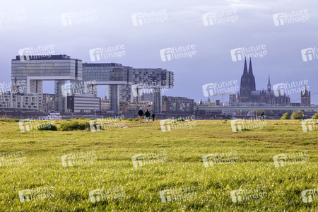 Symbolfoto Poller Wiesen