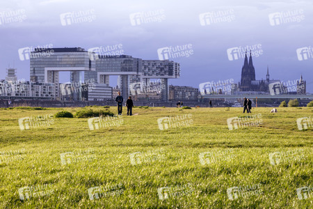 Symbolfoto Poller Wiesen