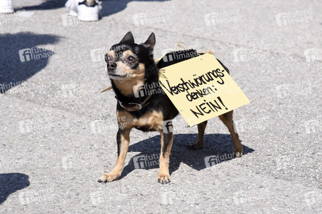 Corona-Demo in München