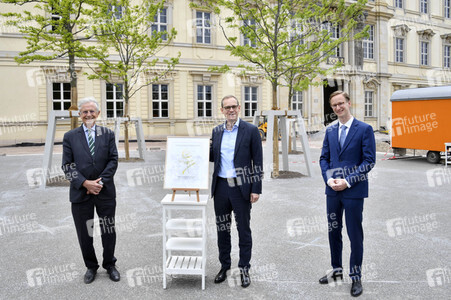 Baumspende für das Umfeld des Humboldt Forums in Berlin
