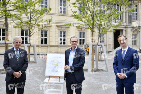 Baumspende für das Umfeld des Humboldt Forums in Berlin