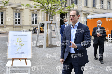 Baumspende für das Umfeld des Humboldt Forums in Berlin