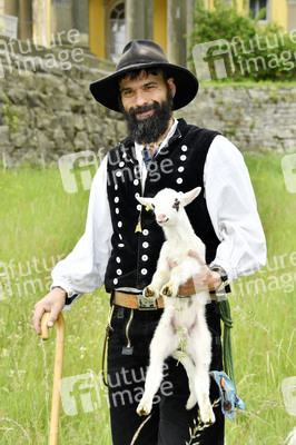Ankunft der Schafe für die Beweidung von Wiesenflächen im Park Sanssouci in Potsdam