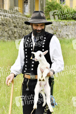Ankunft der Schafe für die Beweidung von Wiesenflächen im Park Sanssouci in Potsdam