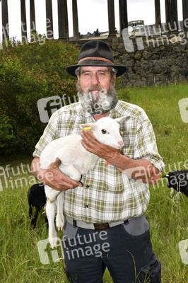 Ankunft der Schafe für die Beweidung von Wiesenflächen im Park Sanssouci in Potsdam