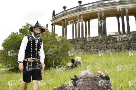 Ankunft der Schafe für die Beweidung von Wiesenflächen im Park Sanssouci in Potsdam