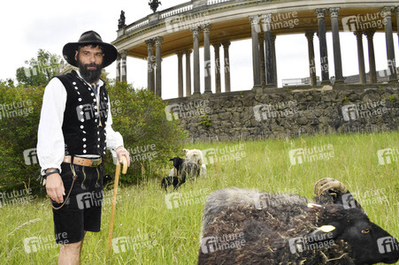 Ankunft der Schafe für die Beweidung von Wiesenflächen im Park Sanssouci in Potsdam