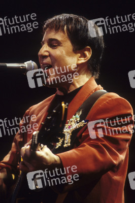 Konzert von Paul Simon in London