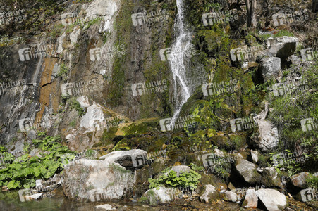 NATURE ART: Wasserfall / Waterfall Bodypainting