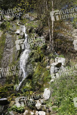 NATURE ART: Wasserfall / Waterfall Bodypainting