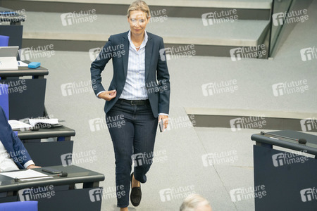 163. Sitzung des Deutschen Bundestages in Berlin