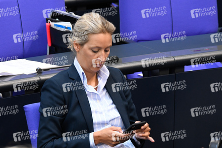 163. Sitzung des Deutschen Bundestages in Berlin