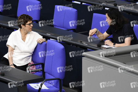 163. Sitzung des Deutschen Bundestages in Berlin