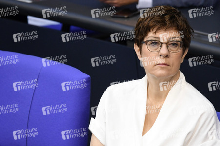 163. Sitzung des Deutschen Bundestages in Berlin