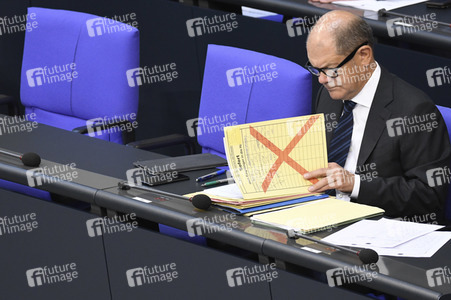 163. Sitzung des Deutschen Bundestages in Berlin