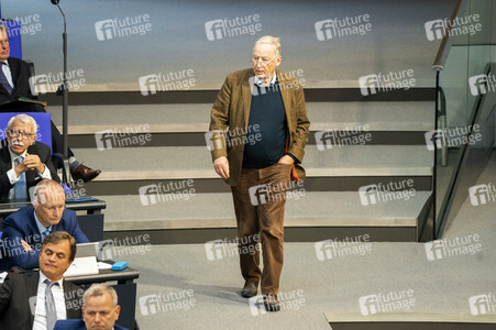 163. Sitzung des Deutschen Bundestages in Berlin