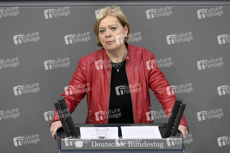 163. Sitzung des Deutschen Bundestages in Berlin