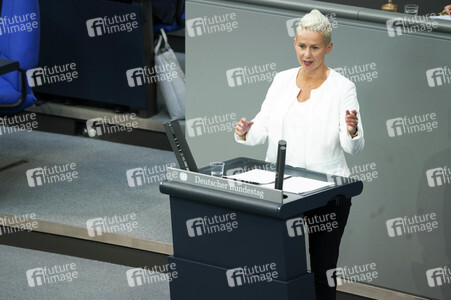 163. Sitzung des Deutschen Bundestages in Berlin