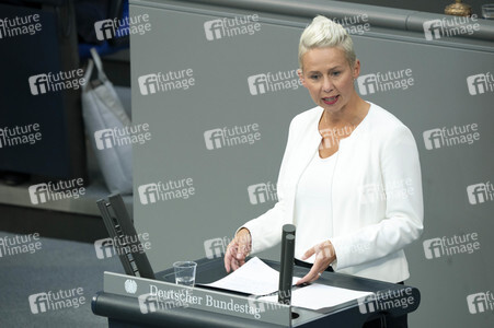 163. Sitzung des Deutschen Bundestages in Berlin