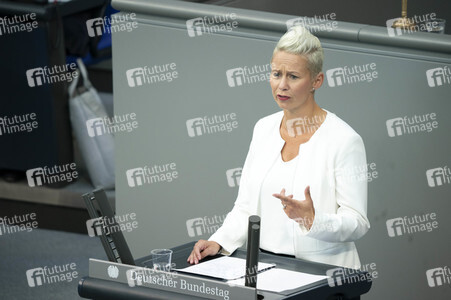 163. Sitzung des Deutschen Bundestages in Berlin