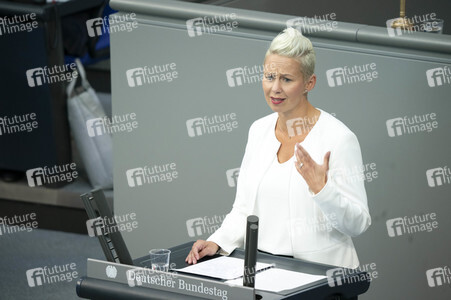 163. Sitzung des Deutschen Bundestages in Berlin