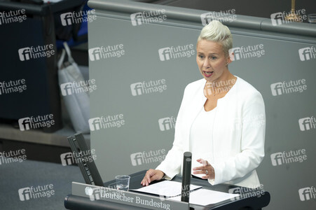 163. Sitzung des Deutschen Bundestages in Berlin